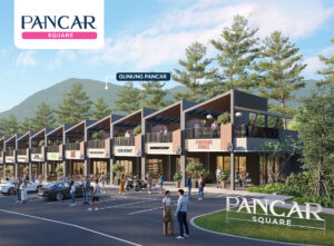 banner_pancar_square