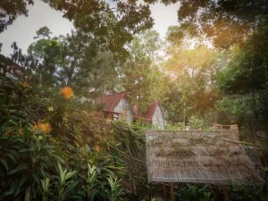 image_header1713414487kaliwatu-sentul-karangtengah-makan-di-sungai-4